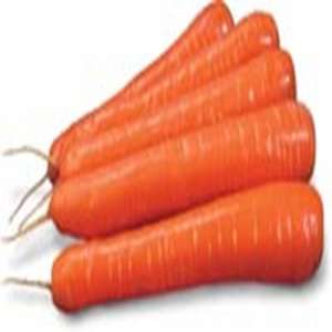 Сіркана F1 - морква, 100 000 насінин (1,8-2,0), Nunhems (Нунемс) Голандія фото, цiна